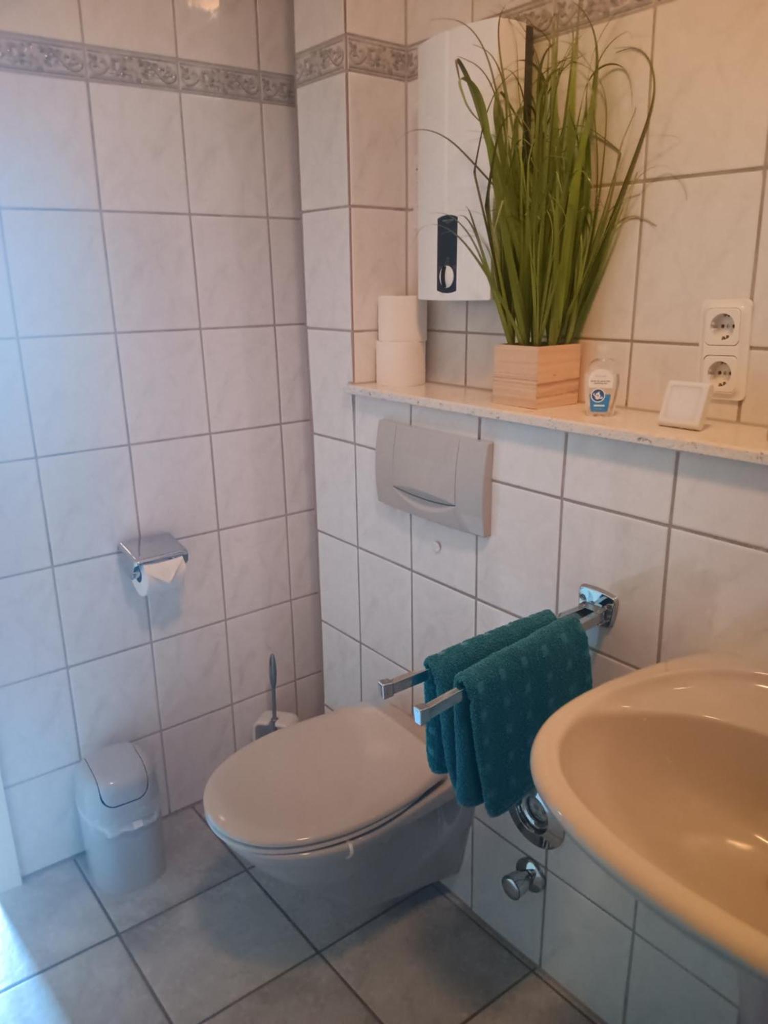 Ferienwohnung Mattheiser Weiher 特里尔 外观 照片